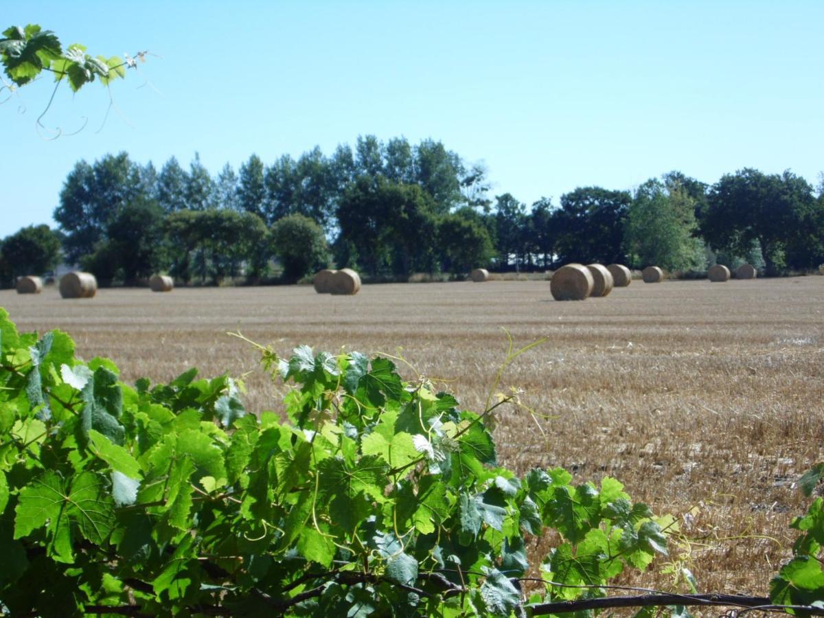 Gite A La Ferme En Pleine Nature Exterior foto